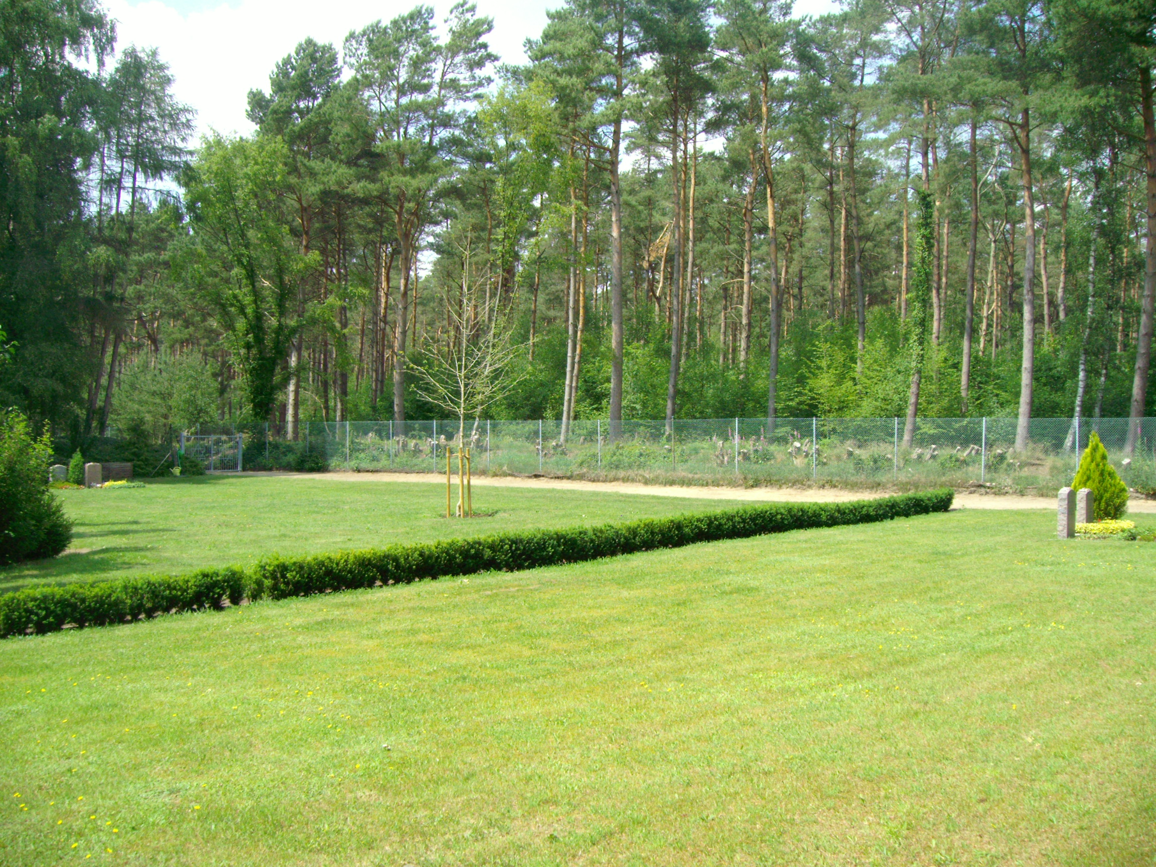 Bad Segeberg - Neuer jüdischer Friedhof